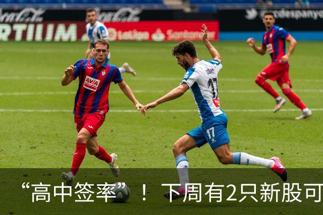 “高中签率”！下周有2只新股可申购