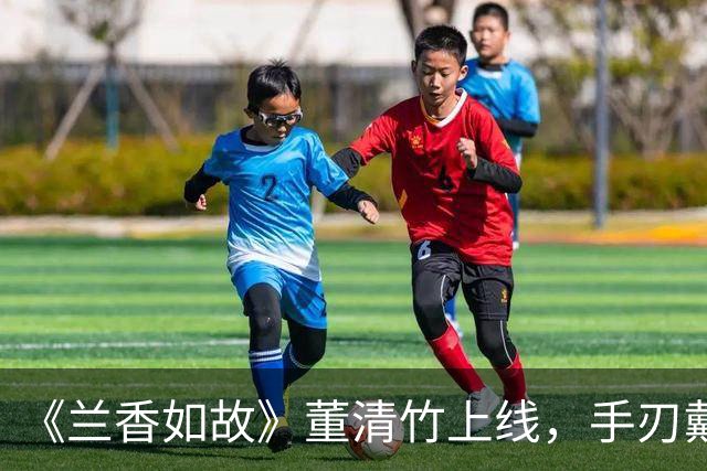 《兰香如故》董清竹上线，手刃戴芮为父报仇，嫁给韩粱，封一品诰命夫人，中年守寡后一生隐居