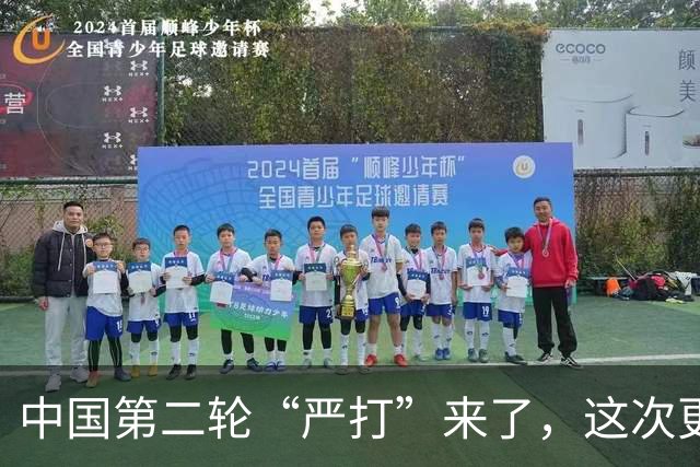 中国第二轮“严打”来了，这次更严格，查到的一个都跑不了！