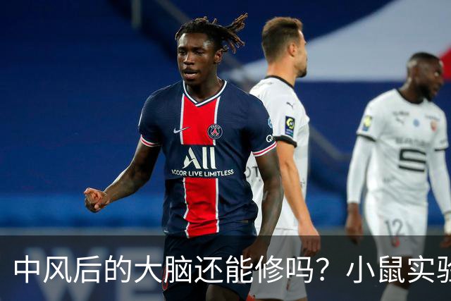 中风后的大脑还能修吗？小鼠实验给出一个意外答案