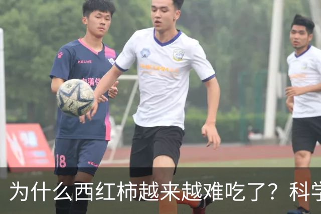 为什么西红柿越来越难吃了？科学家研究4年，发现是西红柿变了