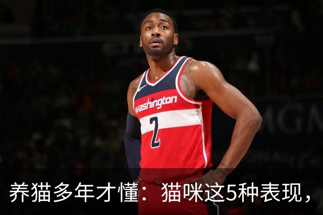 养猫多年才懂：猫咪这5种表现，不是撒娇，是旺家的征兆