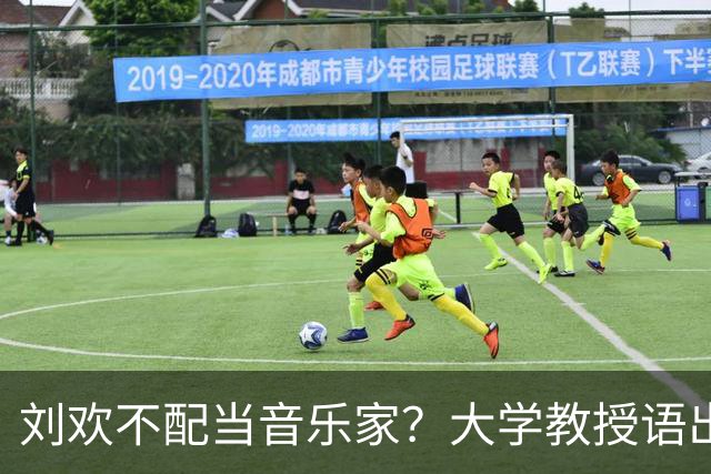 刘欢不配当音乐家？大学教授语出惊人，人民日报用5个字做出总结