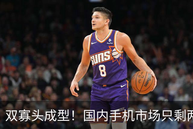 双寡头成型！国内手机市场只剩两大玩家博弈
