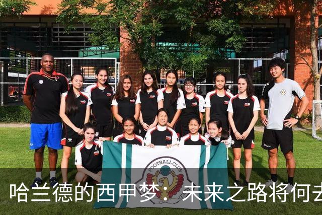 哈兰德的西甲梦：未来之路将何去何从？