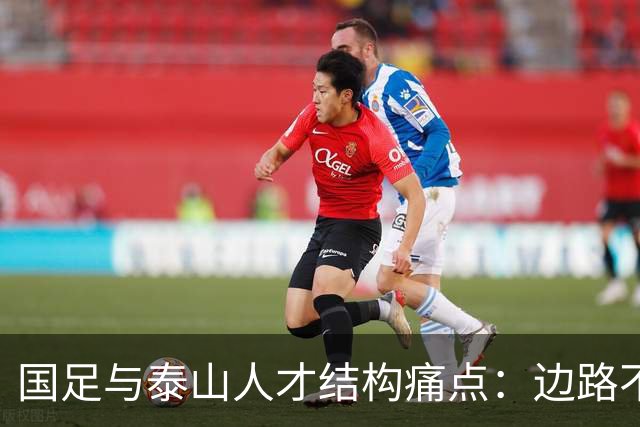 国足与泰山人才结构痛点：边路不愁储备，中场、中锋天赋断层是根源难题