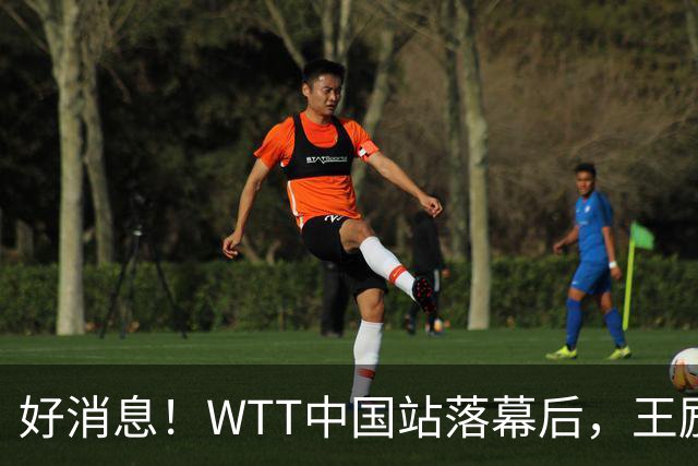 好消息！WTT中国站落幕后，王励勤释放关键信号，樊振东或能回归