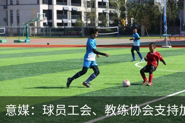 意媒：球员工会、教练协会支持加利亚尼竞选足协主席