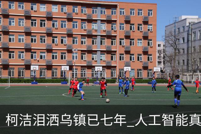 柯洁泪洒乌镇已七年 人工智能真的攻克围棋了吗？