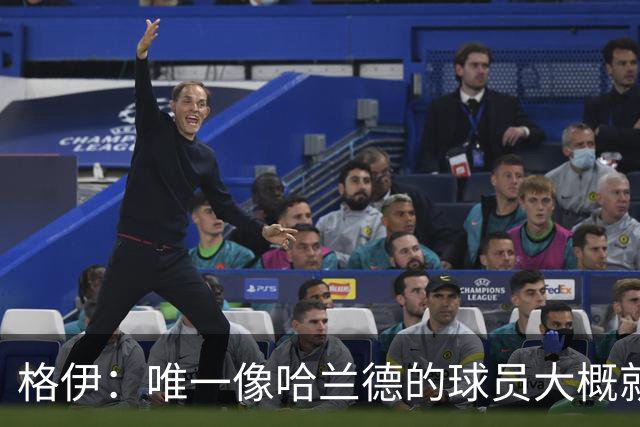 格伊：唯一像哈兰德的球员大概就是凯恩 欧战我们或许要少些激进