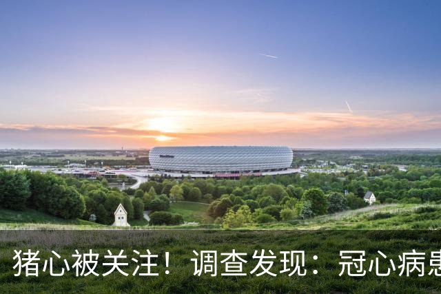 猪心被关注！调查发现：冠心病患者吃猪心，或有这5大影响
