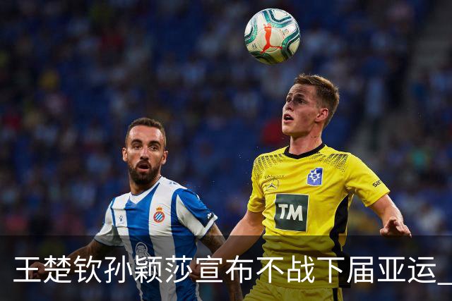 王楚钦孙颖莎宣布不战下届亚运 国乒队长：感觉在走前人没走过的路