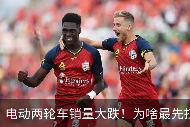 电动两轮车销量大跌！为啥最先扛不住的是厂家，而不是经销商？