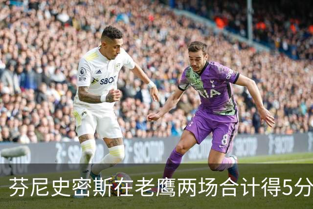 芬尼史密斯在老鹰两场合计得5分，火箭及时止损，斯马特物美价廉
