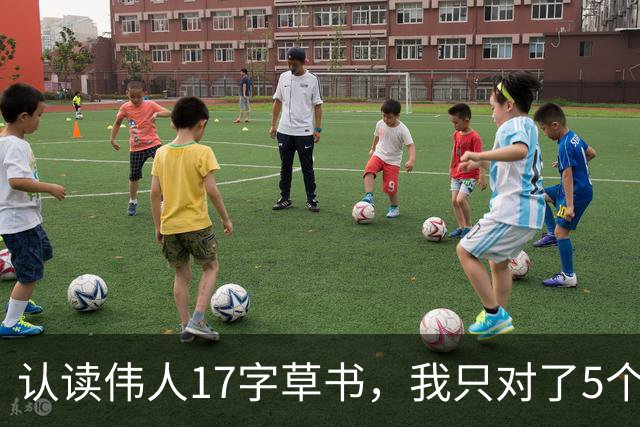 认读伟人17字草书，我只对了5个，全识者请受我一拜！石面天然高低，题字刻石如何因形布势而不失原笔意？