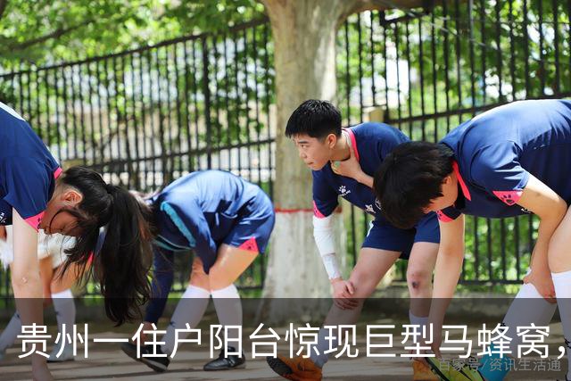 贵州一住户阳台惊现巨型马蜂窝，长超一米、形似巨型陀螺