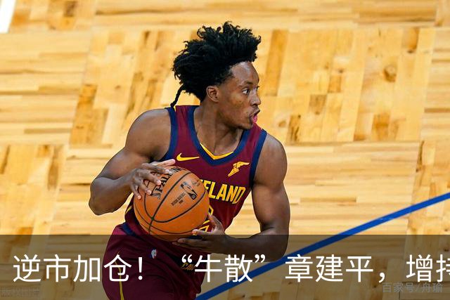逆市加仓！“牛散”章建平，增持云南锗业