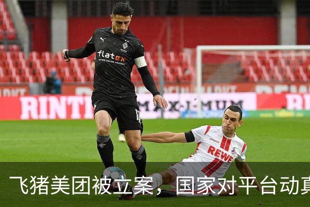 飞猪美团被立案，国家对平台动真格了