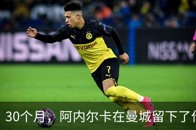 30个月，阿内尔卡在曼城留下了什么