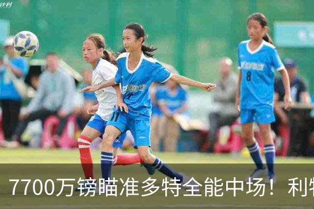 7700万镑瞄准多特全能中场！利物浦复刻维尔茨引援，风险与机遇并存